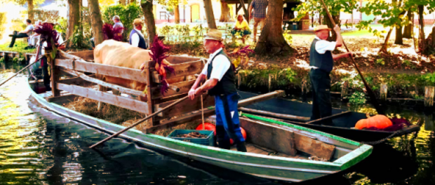 Screenshot-youtube-com-dfgfdg2fgf8-620xlkjhf264-620x264-1