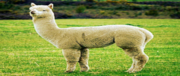 Screenshot-youtube-com-fdgfdgfdgdfgxccv