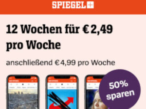 Bild: spiegel.de