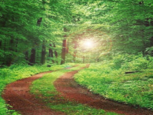 Screenshot-yandex.com26