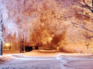 Screenshot-youtube-com-fdgfdfffggf