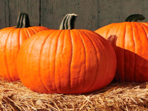 Screenshot-youtube-com-fdgfdgfdgfgdg