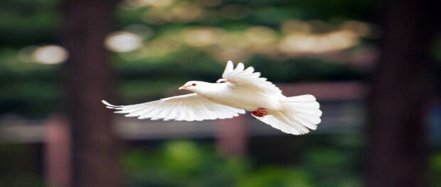 Screenshot-youtube-com-fdhgdghgh