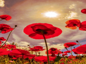 Screenshot-twitter-com-fgfg3fdhdfhh1-620×264-1