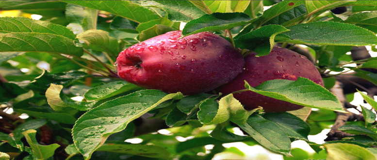 Screenshot youtube.com