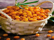 Screenshot youtube.com