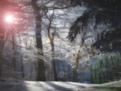 Screenshot youtube.com