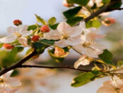 Screenshot youtube.com